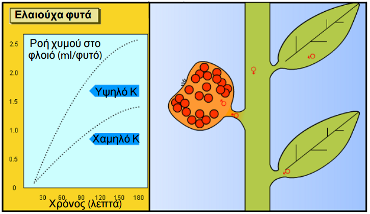 symvolh kaliou 3