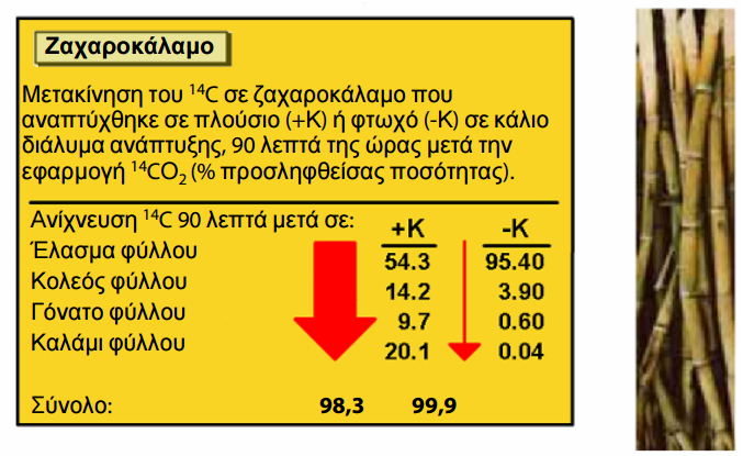 symvolh kaliou 4