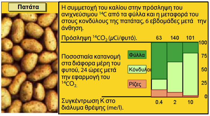 symvolh kaliou 5