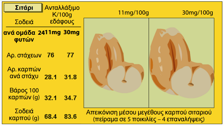 symvolh kaliou 6