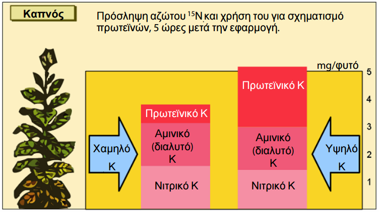 symvolh kaliou 8