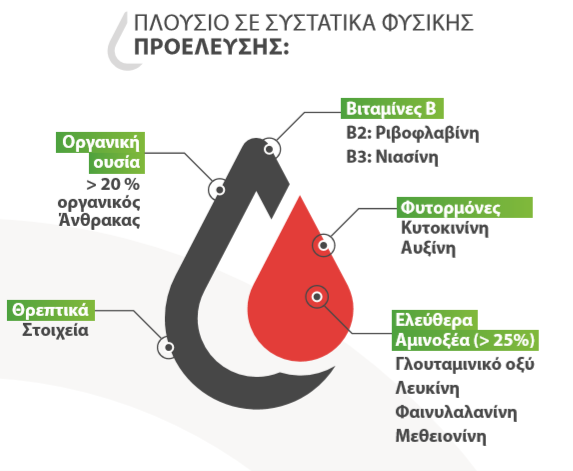 systatika