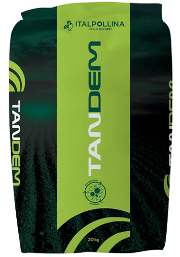 tandem 01