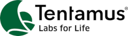 tentamus 250
