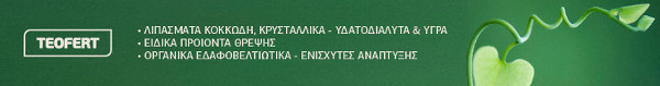 teofert 930x122-2 1 -3