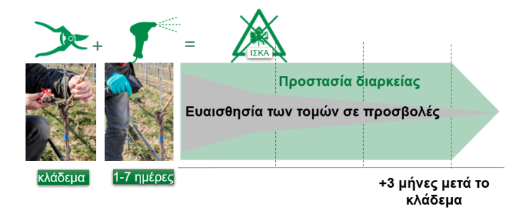 tessior article2 750w