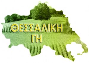 Ελαιοκαλλιέργεια και αγροτικά δάνεια, τα θέματα της  αποψινής εκπομπής «ΘΕΣΣΑΛΙΚΗ ΓΗ»