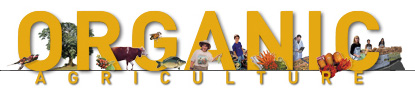 topbanner