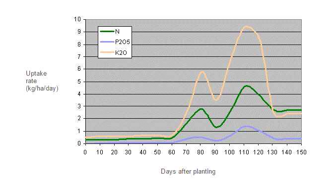 uptake dynamics 2
