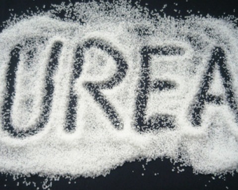 urea2