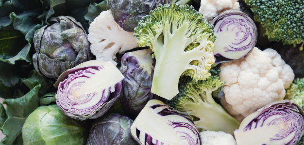 vegetais cruciferos 49149 171