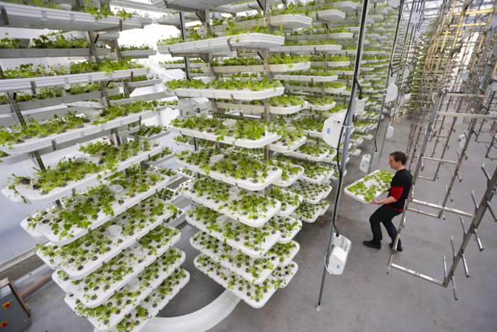 verticalfarming1