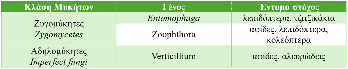 vioentomoktona mikites