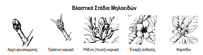 vlastika stadia miloeidon