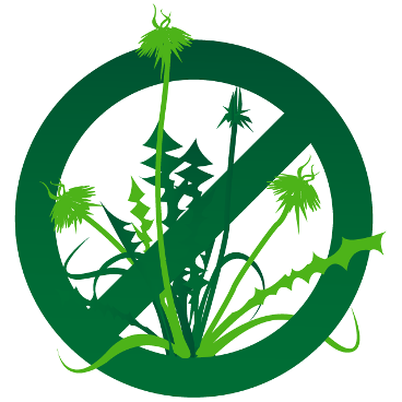 weed5