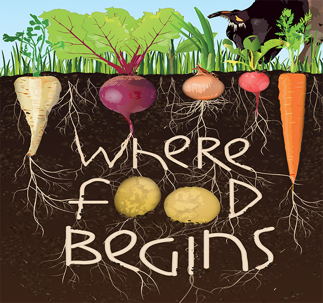 where food begins 