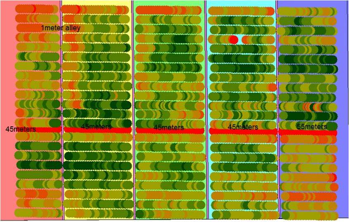 yield map1