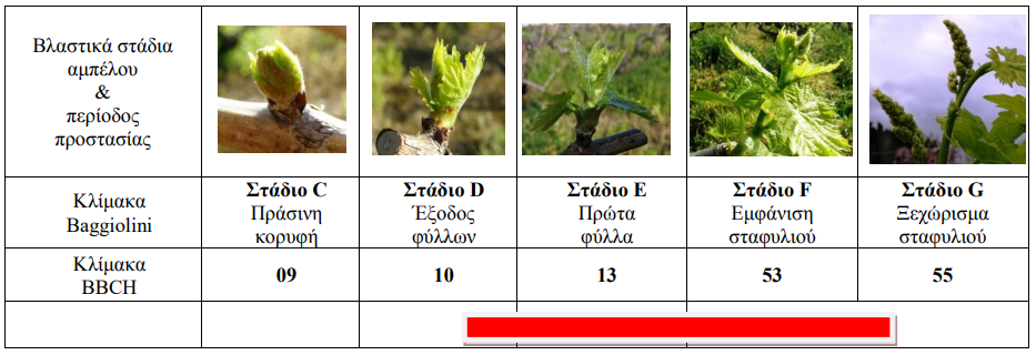 ΑΚΑΡΕΑ PINAKAS