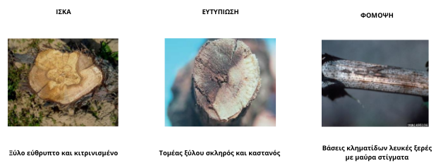 ΑΣΘΕΝΕΙΕΣ