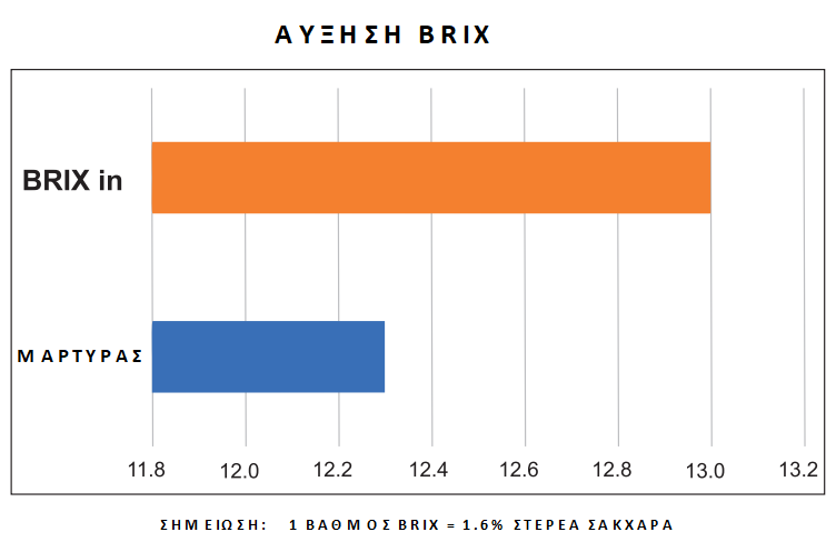 ΑΥΞΗΣΗ BRIX