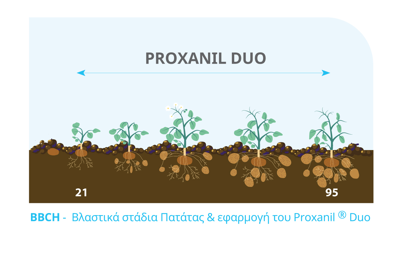 ΒΒCH ΠΑΤΑΤΑ PROXANIL DUO