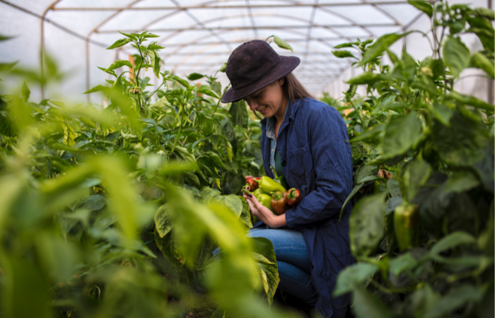ΓΥΝΑΙΚΕΙΑ ΕΠΙΧΕΙΡΗΜΑΤΙΚΟΤΗΤΑ agriculture