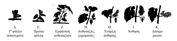 Δ ΕΩΣ Κ