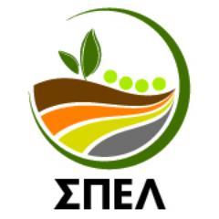 ΣΠΕΛ LOGO