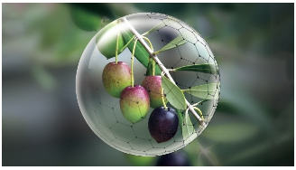 Στιγμιότυπο οθόνης 2023 10 03 121000