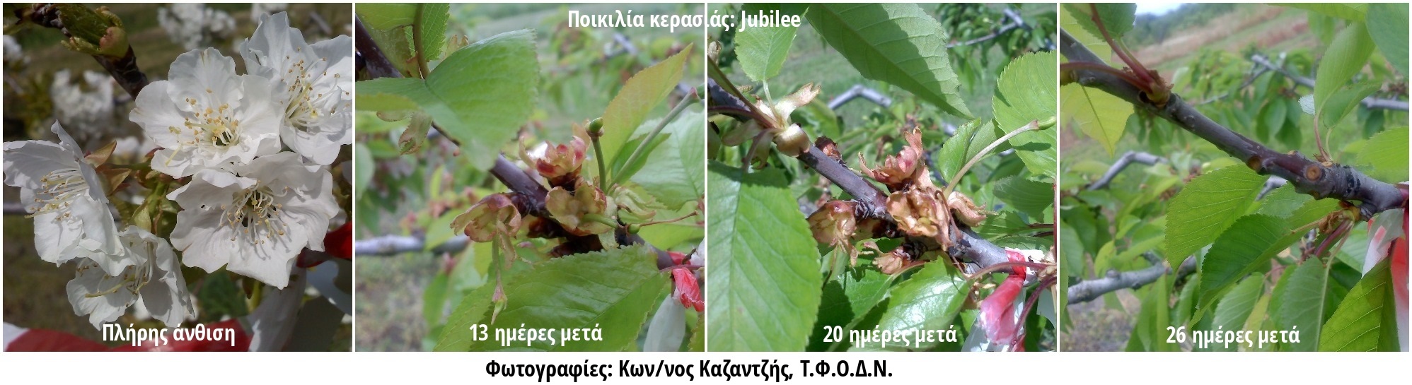 Φωτογραφία 2