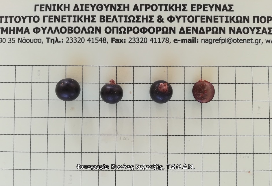 Φωτογραφία 2