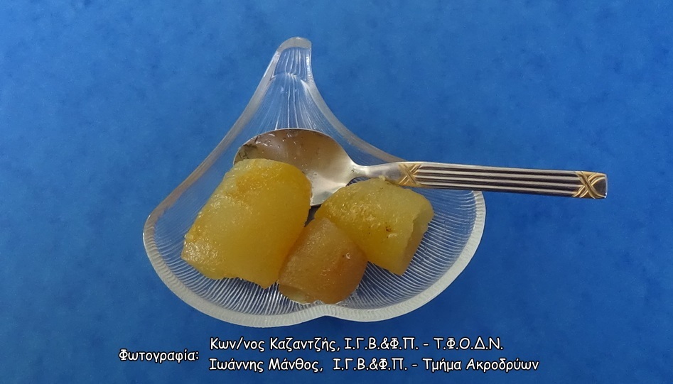 Φωτογραφία 2