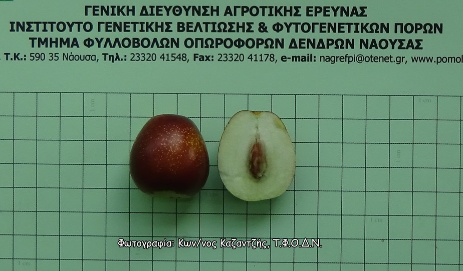 Φωτογραφία 2