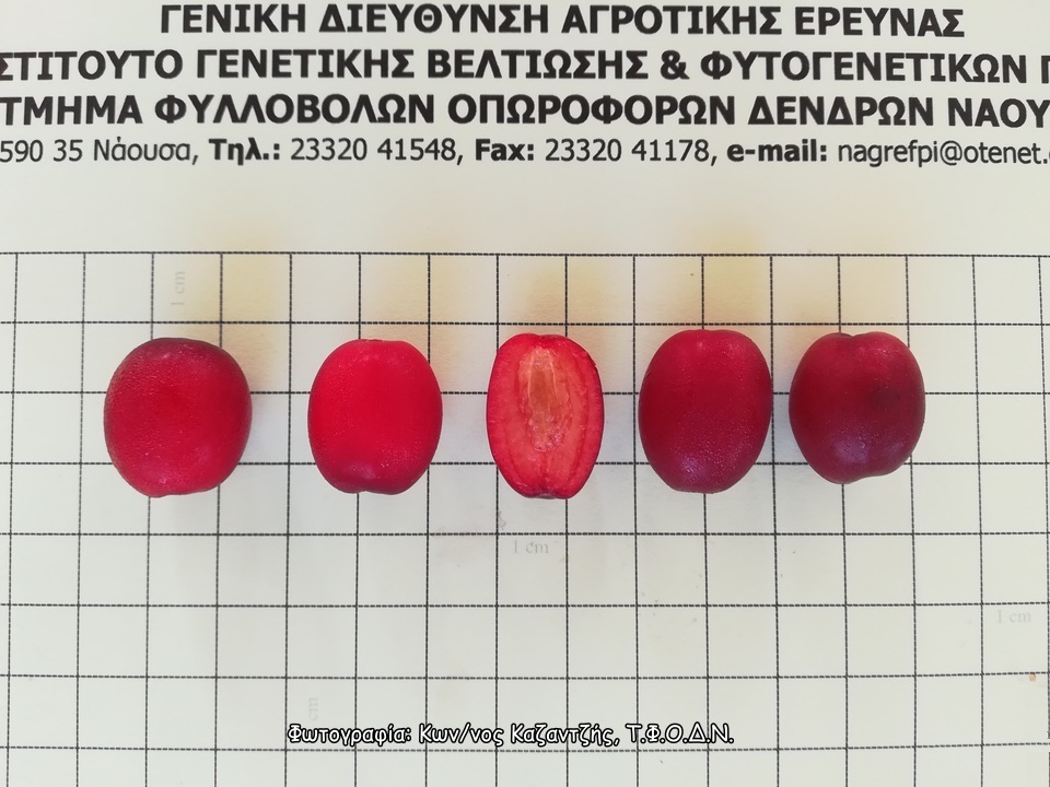 Φωτογραφία 2
