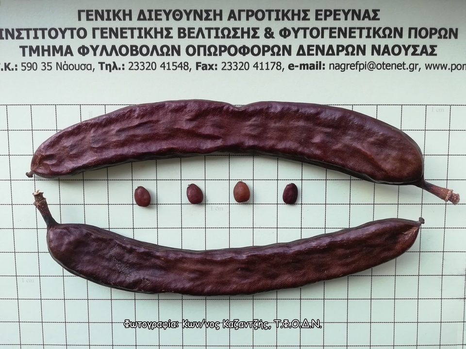 Φωτογραφία 2