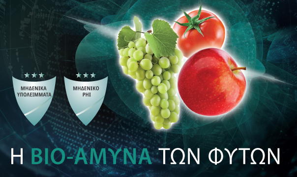 εισαγωγικη εικόνα