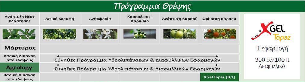 μανταριν1
