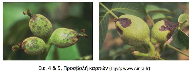 προσβολη 3