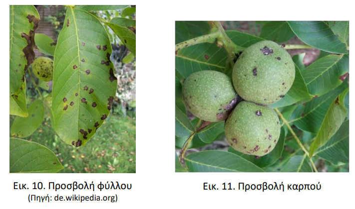 προσβολη 6