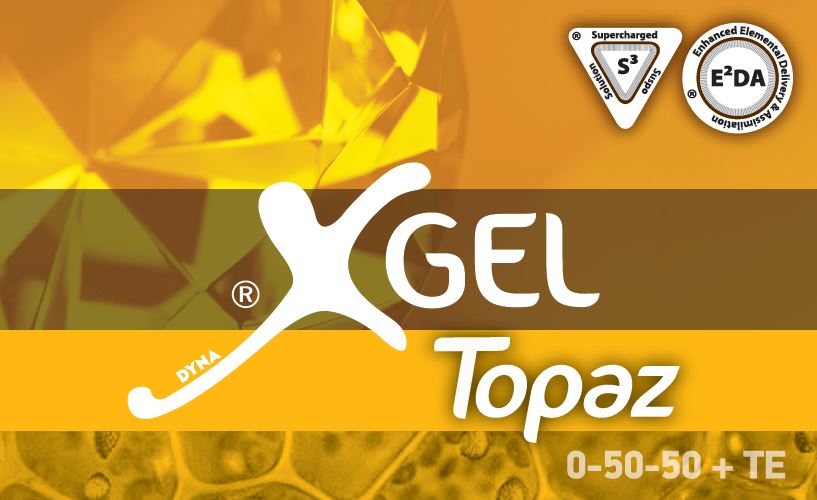τοπαζ2
