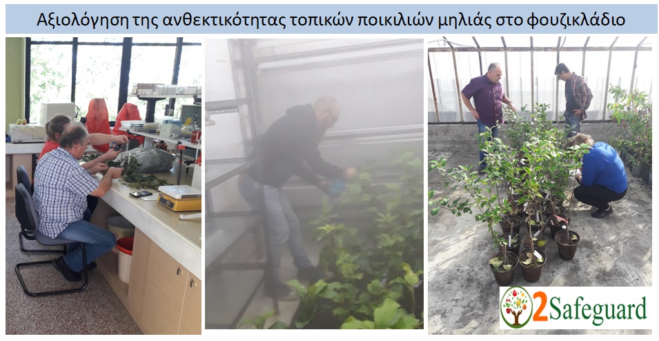 φουζικλάδιο